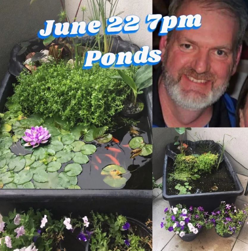 Peel Regional Aquarium Club